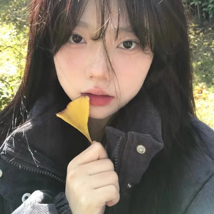 光荣的追寻第一季